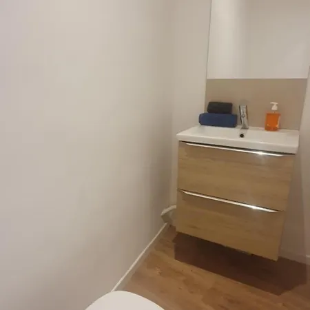 Bel Neuf Lumineux Apartman *